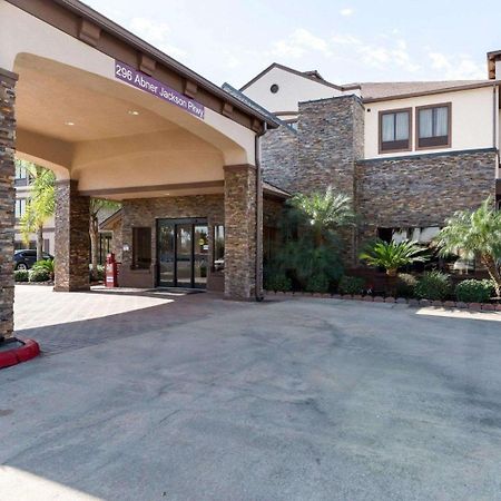 Comfort Suites Lake Jackson Clute Exterior foto